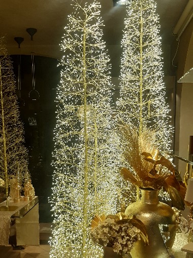 Edoardo Zanotti - Rivenditore Bruco