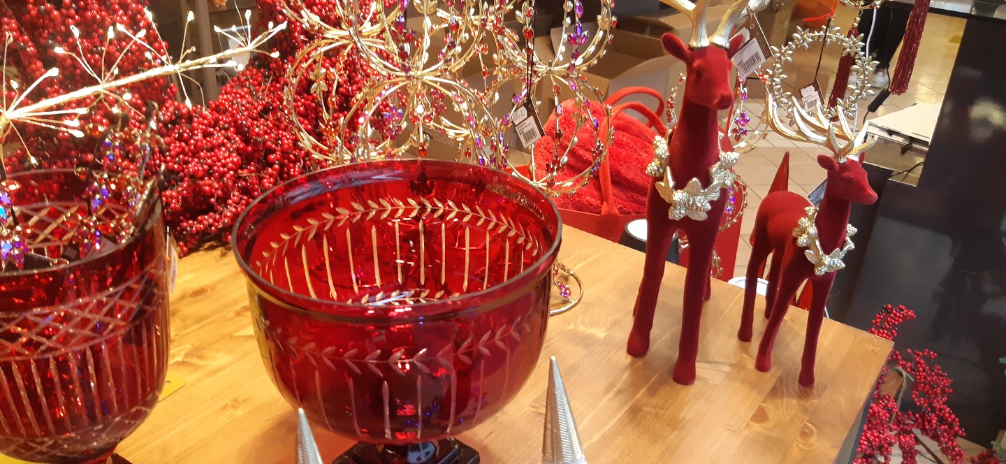 Edoardo Zanotti - Rivenditore Bruco