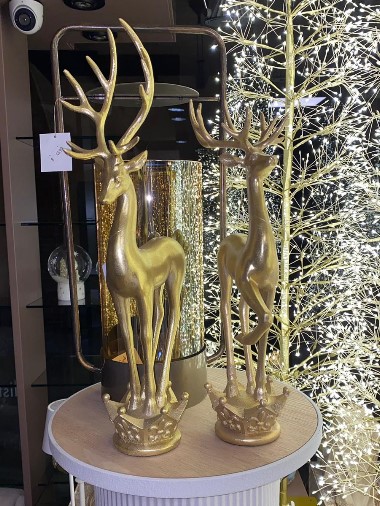 Edoardo Zanotti - Rivenditore Bruco