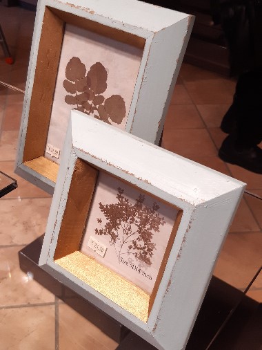 Edoardo Zanotti - Rivenditore Mascagni