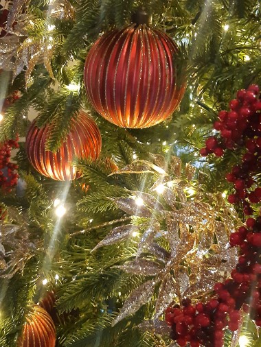 Edoardo Zanotti - Natale e festività