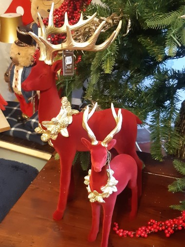 Edoardo Zanotti - Natale e festività